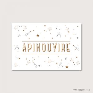 Cartes Postales - Apinouyire - Français